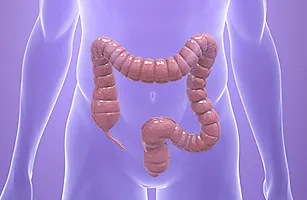 Processo di Pulizia del Colon