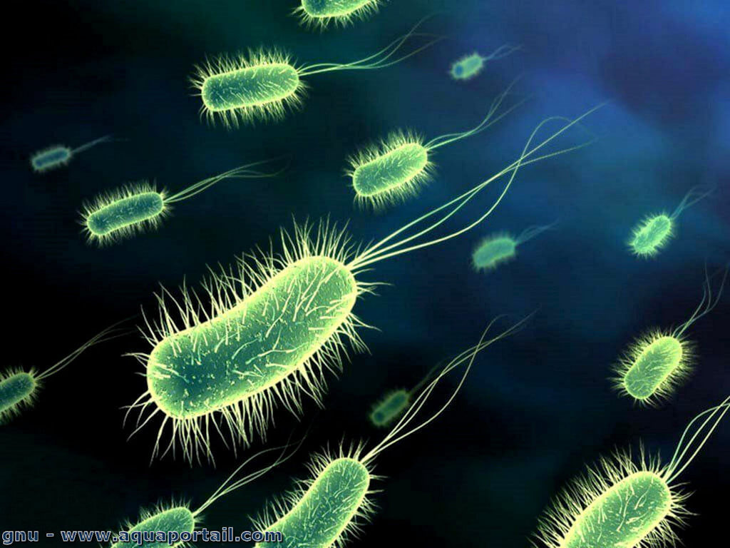 Migliorare la digestione in modo naturale