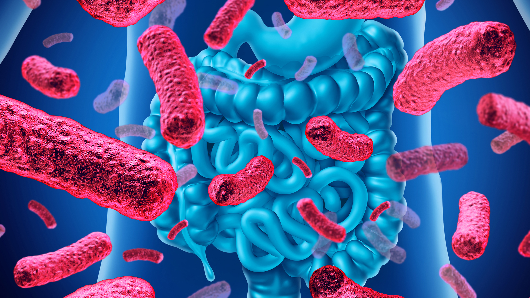 Comprendere la digestione e il microbiota